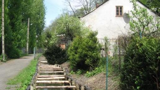 Cieszyńska Wenecja, Danuta