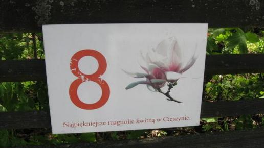 Szlakiem Kwitnącej Magnolii, Danuta