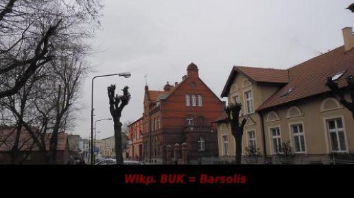 , Barsolis Karol Turysta Kulturowy