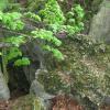 Jurajska majówka: Czatachowa i Rezerwat Leśny 