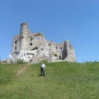 Mirów-ruiny zamku, Edward Krężel