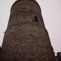 Wieża z dziedzińca zamku , Tadeusz Walkowicz