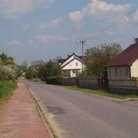 W drodze, Tadeusz Walkowicz