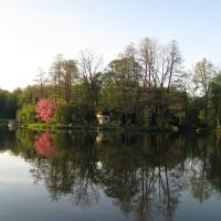 Herbaciarnia na wyspie, Danuta