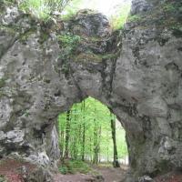 , Danuta