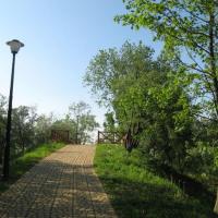 , Danuta