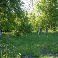 Cmentarz Ewangelicko- Prawoslawny w Łapach osse, anitka16125 zarzecka