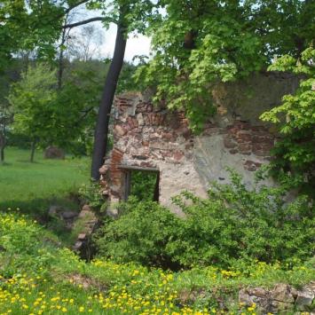 Ruiny pieca z XIX w, Tadeusz Walkowicz