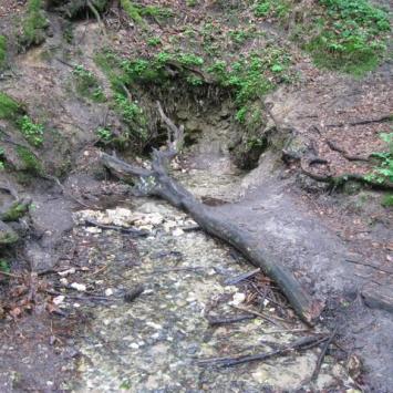 Jurajska majówka: Czatachowa i Rezerwat Leśny