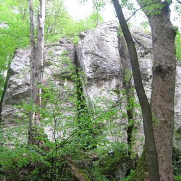 Jurajska majówka: Czatachowa i Rezerwat Leśny 