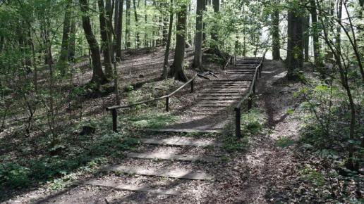 , Zbyszek Mat