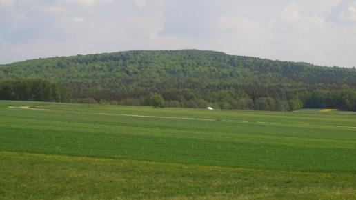 Góra Perzowa, Tadeusz Walkowicz