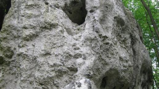 , Danuta