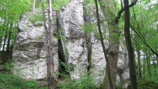 Jurajska majówka: Czatachowa i Rezerwat Leśny 