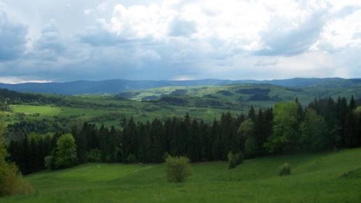 , Paweł Gąsiorek