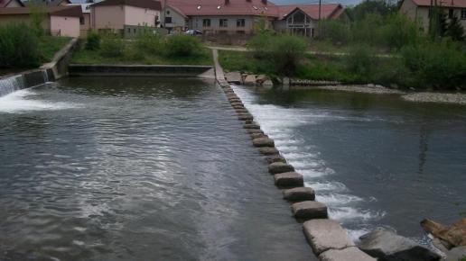 , Paweł Gąsiorek