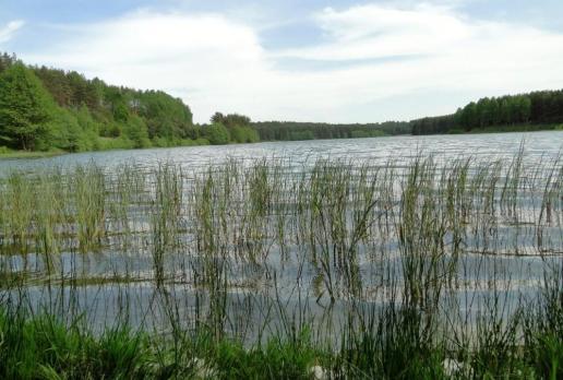 Jezioro Długie, toja1358