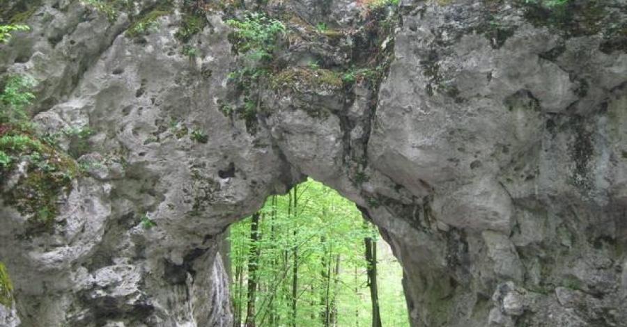 Jurajska majówka: Czatachowa i Rezerwat Leśny - zdjęcie