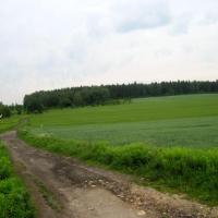 widok na Pomnik Przyrody 