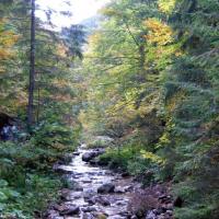 Zakopane, Ewelina