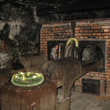 Oświęcim, Ewelina