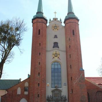 Katedra w Oliwie, Sandra