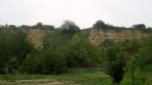 , Roman Świątkowski
