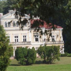 Pałac Raczyńskich, Tadeusz Walkowicz