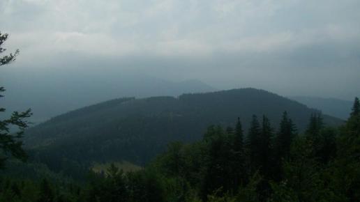 , Paweł Gąsiorek