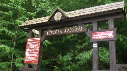 , Paweł Gąsiorek