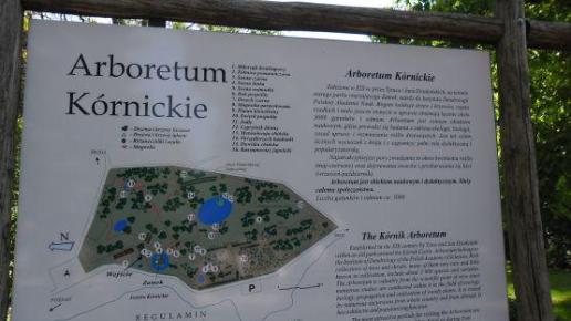 Kornik Plan arboretum , Barsolis Karol Turysta Kulturowy