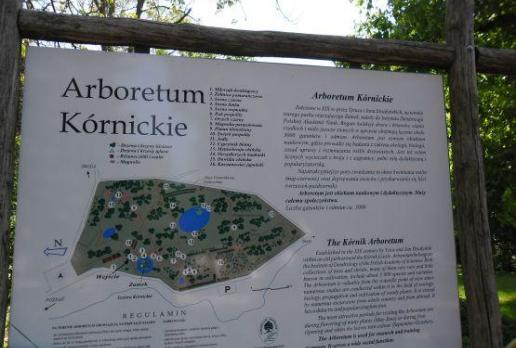 Kornik Plan arboretum , Barsolis Karol Turysta Kulturowy