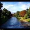 Cieszyn rzeka Olza, Vincci
