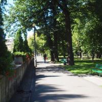 Park wzdłuż Białej, Tadeusz Walkowicz