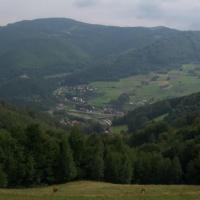 , Paweł Gąsiorek