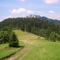 przełęcz pod Czerwoną Górą a w oddali Trzy Korony, Roman Świątkowski