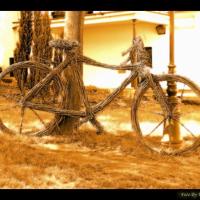 wiklinowy rower, Vincci