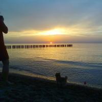 , marian