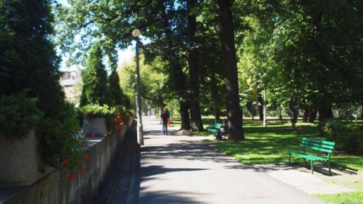 Park wzdłuż Białej, Tadeusz Walkowicz
