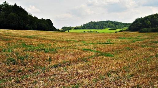 dolina wodącej, Magdalena