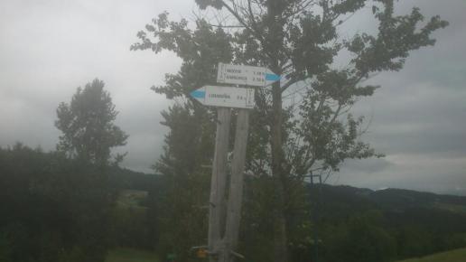 , Paweł Gąsiorek
