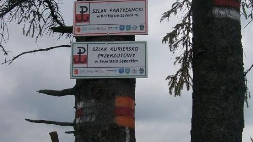 , Paweł Gąsiorek