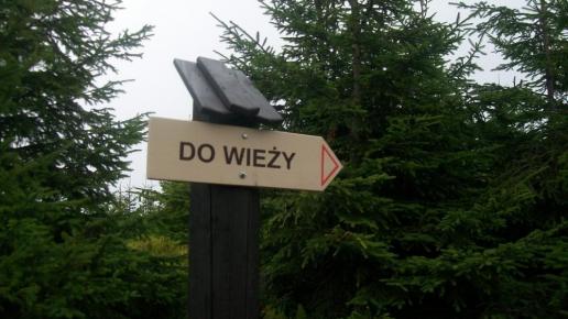 , Paweł Gąsiorek