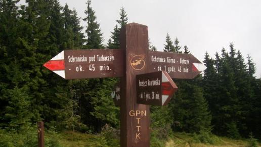 , Paweł Gąsiorek