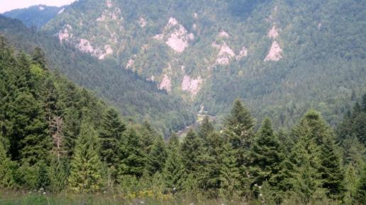 Dunajec w dole, Roman Świątkowski