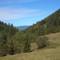 , Paweł Gąsiorek