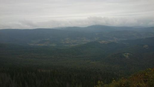 , Paweł Gąsiorek
