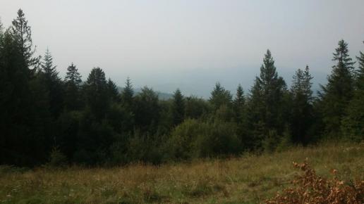 , Paweł Gąsiorek