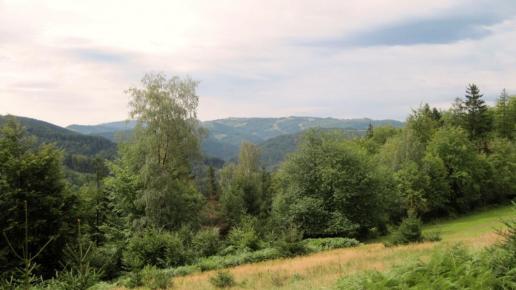 , Roman Świątkowski