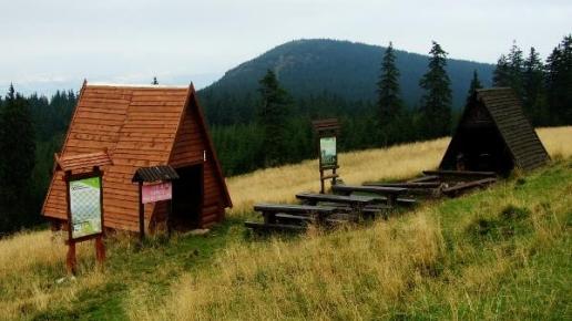 Hala pod Śnieżnikiem, artur